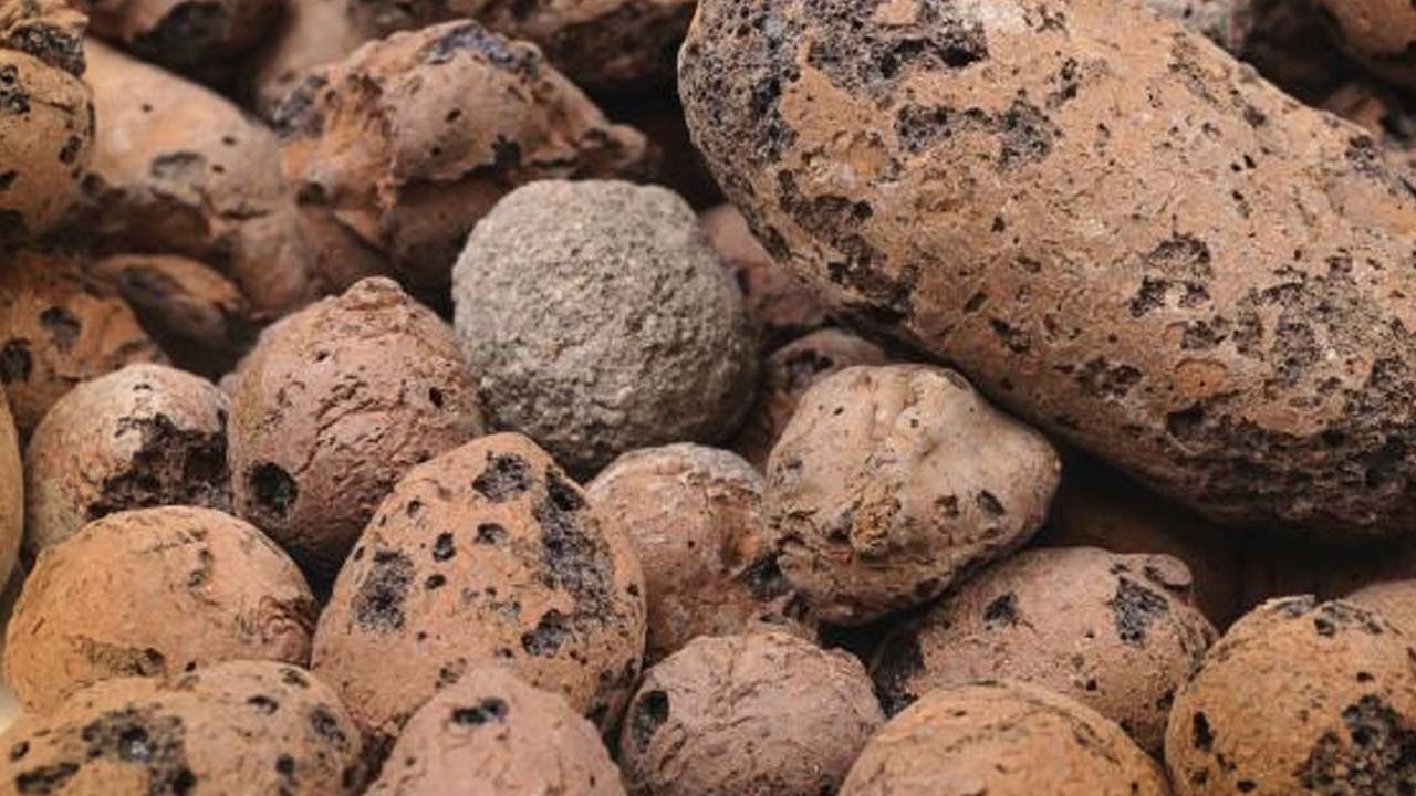 Lecakugler og lecan&oslash;dder