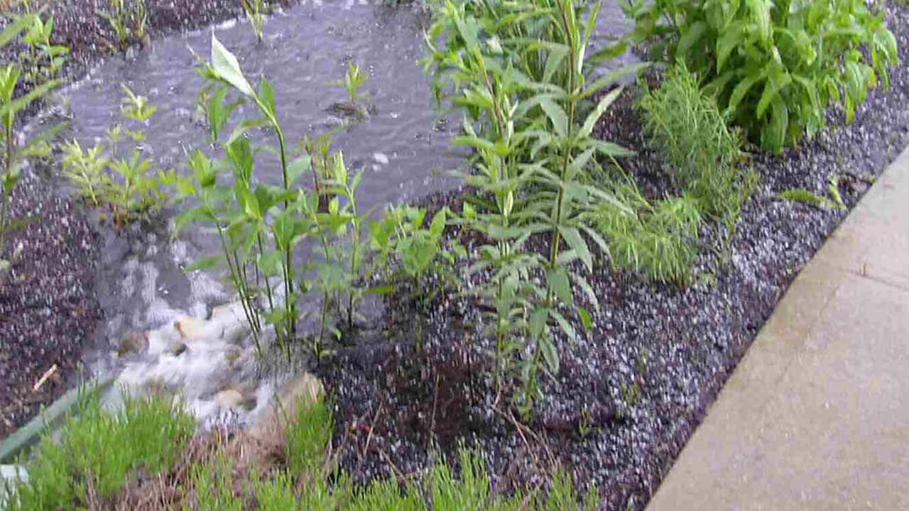 Et dekorativt regnvandsbed, der fungerer som LAR l&oslash;sning