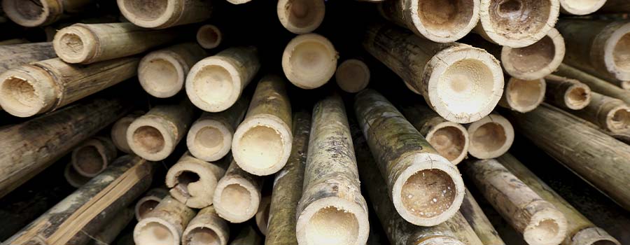 Bambusstokke til bekl&aelig;dningsbr&aelig;dder