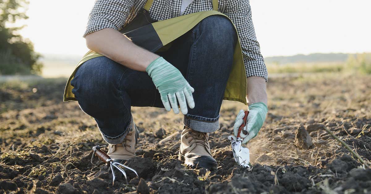 Tips til havearbejde i foråret