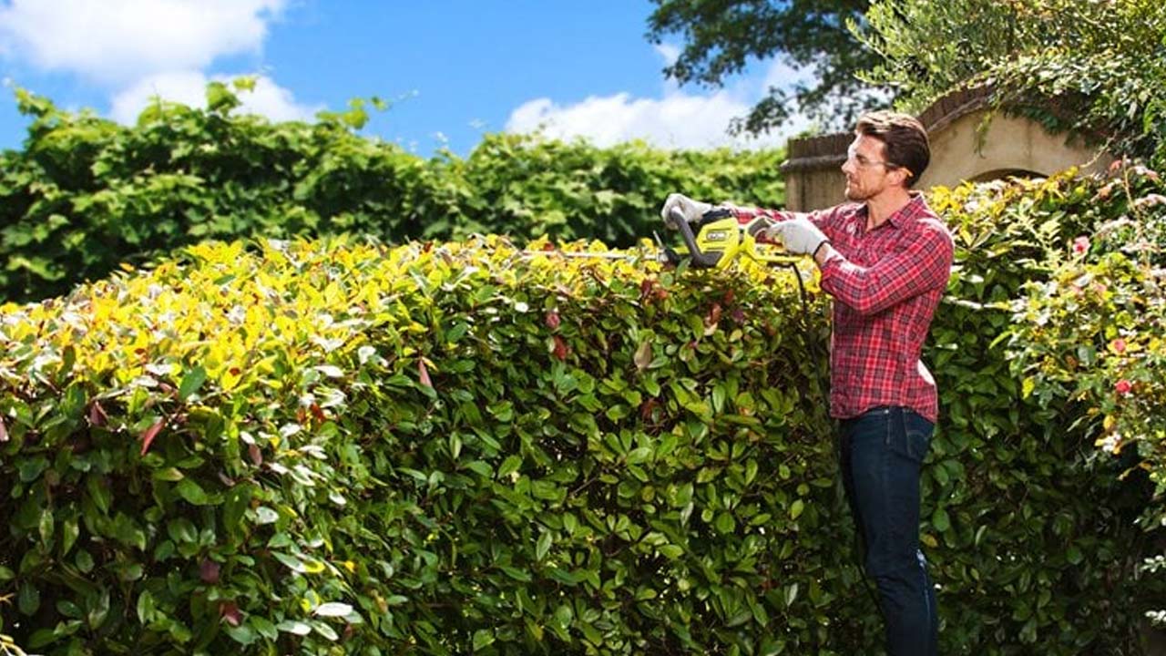 Ryobi el h&aelig;kkeklipper RHT5655RS