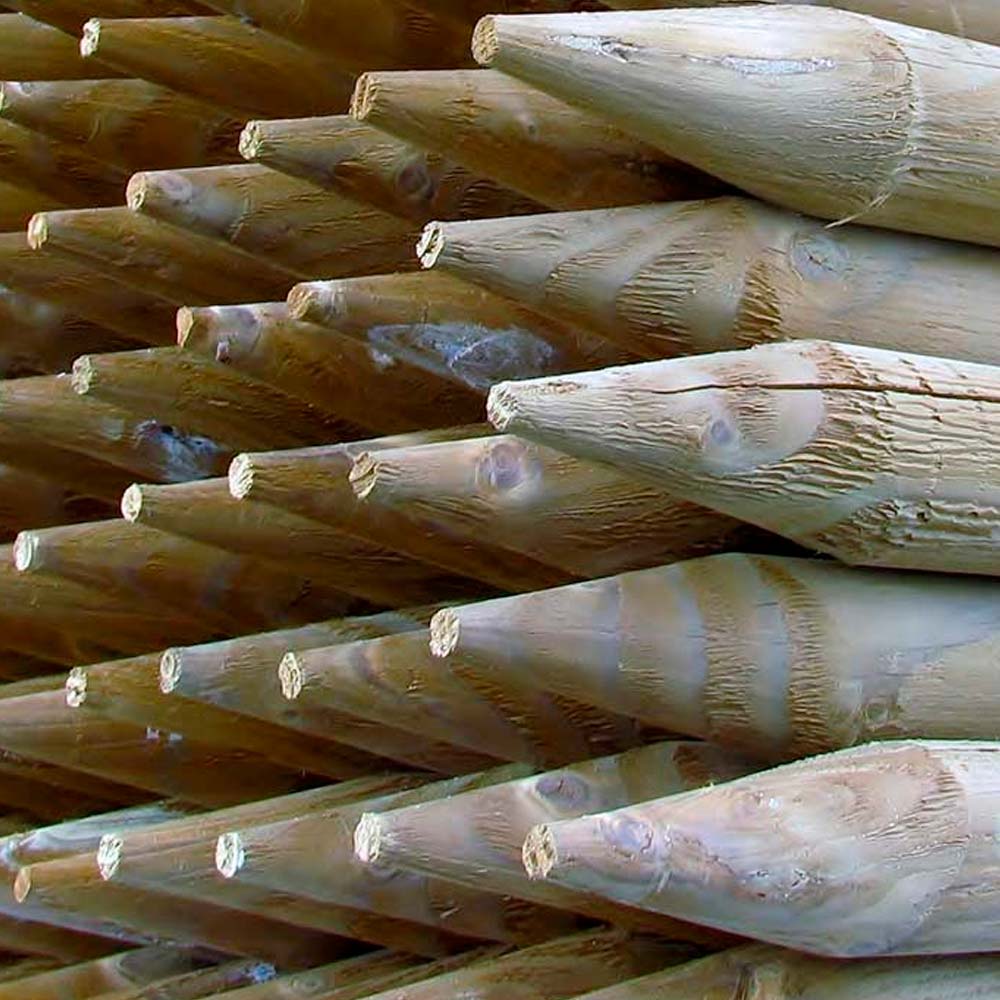 Hegnsp&aelig;le velegnet til bl.a. tr&aring;dhegn