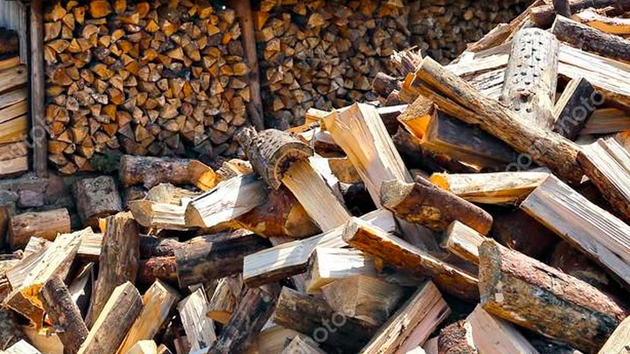 Birk, l&oslash;vtr&aelig; og b&oslash;getr&aelig; til pejs og br&aelig;ndeovn