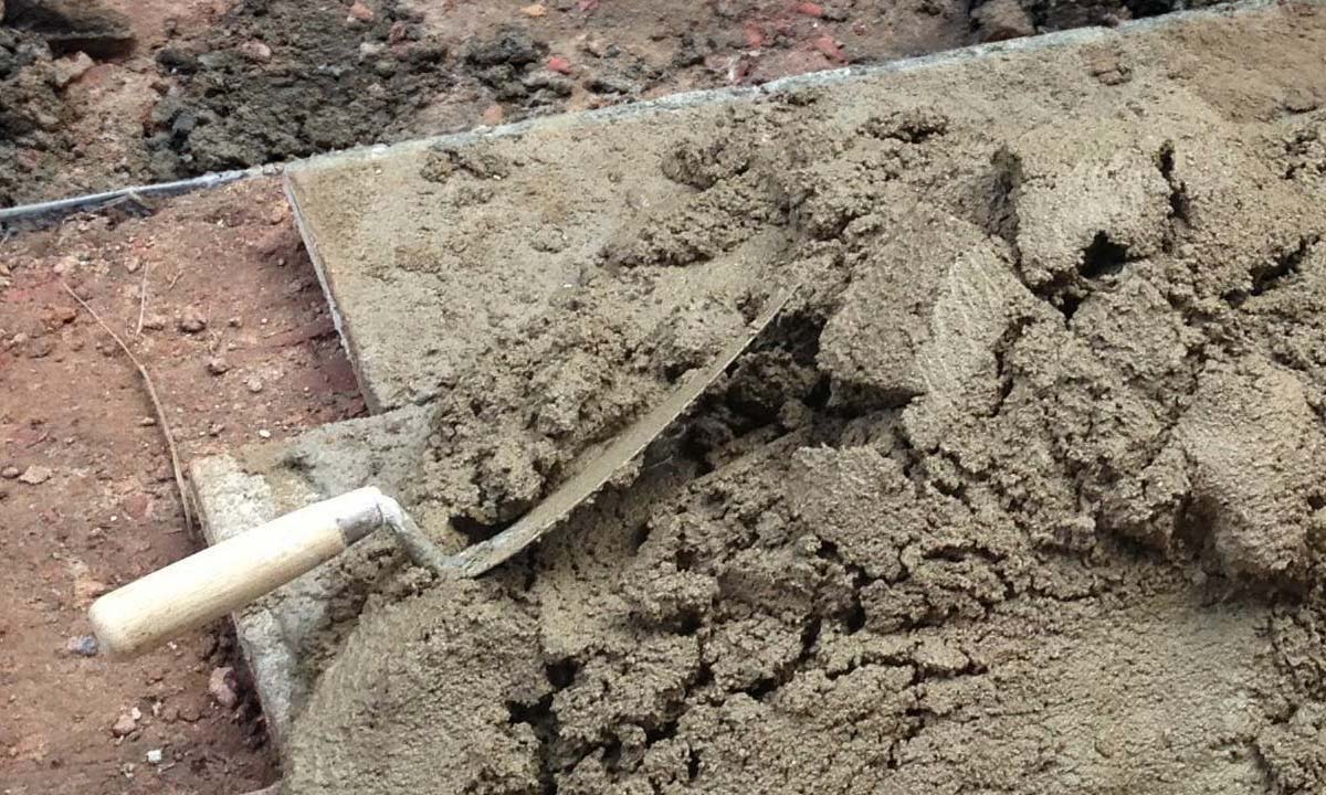 Bakkem&oslash;rtel og strandm&oslash;rtel til murv&aelig;rk