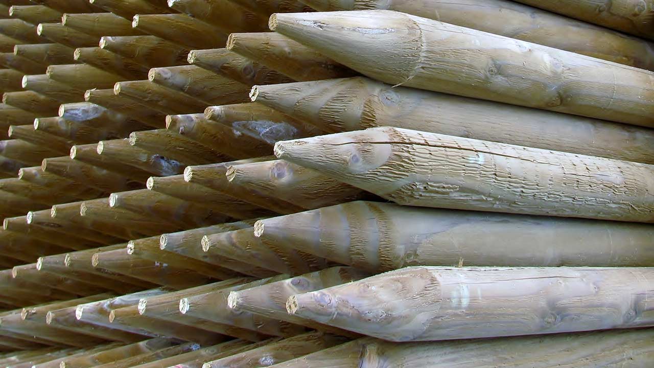 Hegnspæle i trykimprægneret træ