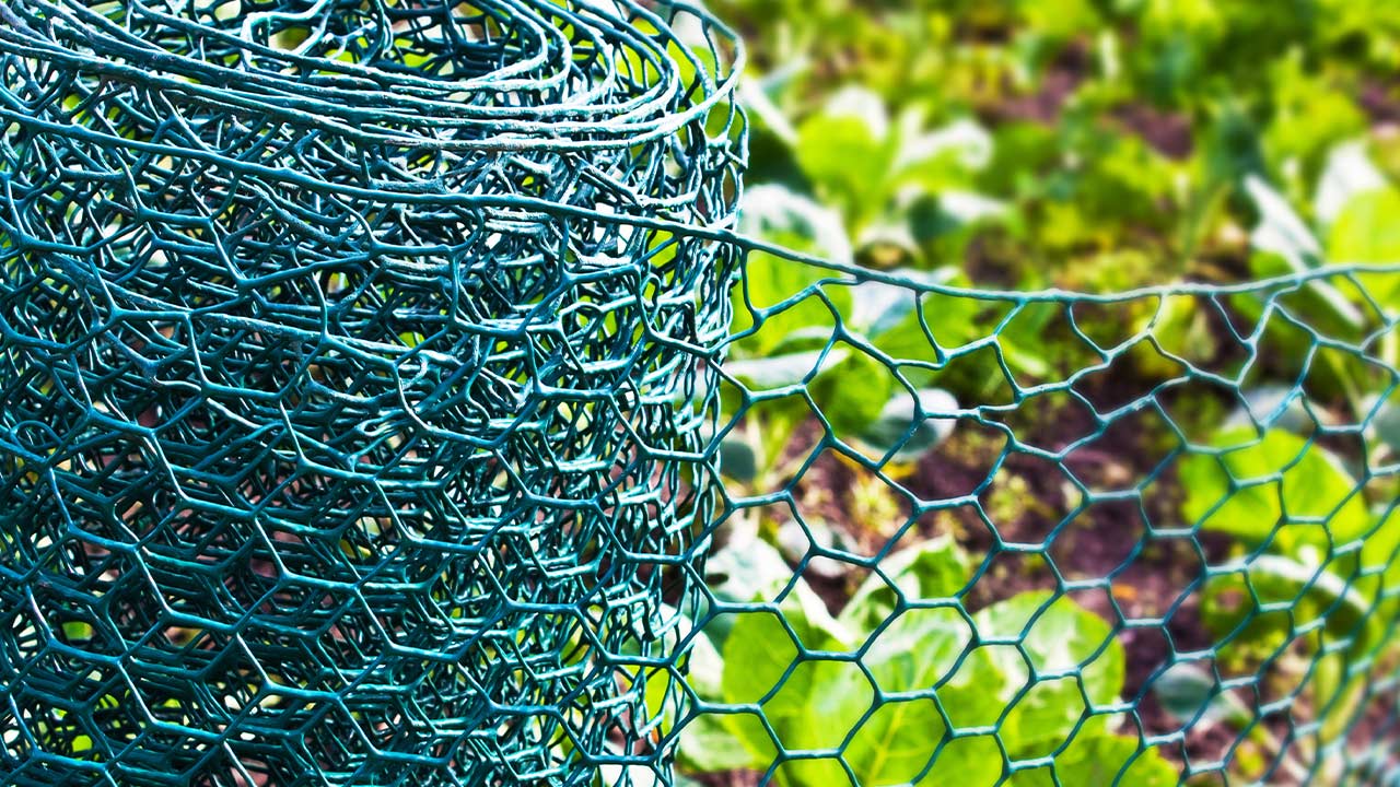 Gr&oslash;nt 90 cm tr&aring;dhegn til haven