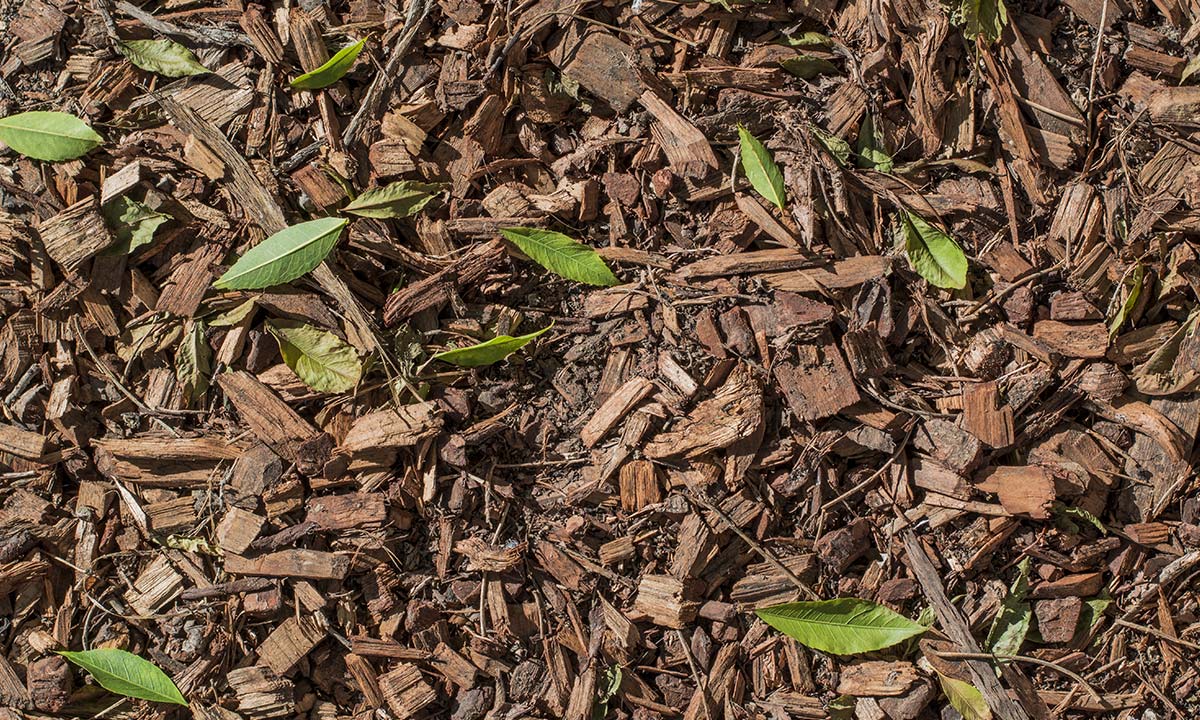 D&aelig;kbark og pyntebark