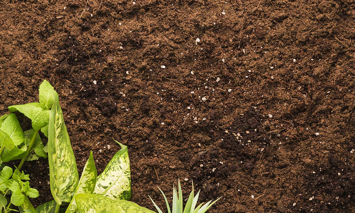 Jord og spagnum giver n&aelig;ring til blomster og have